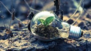 Environment